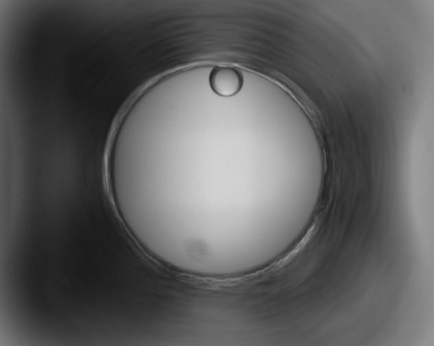 X0000087521196200705181007