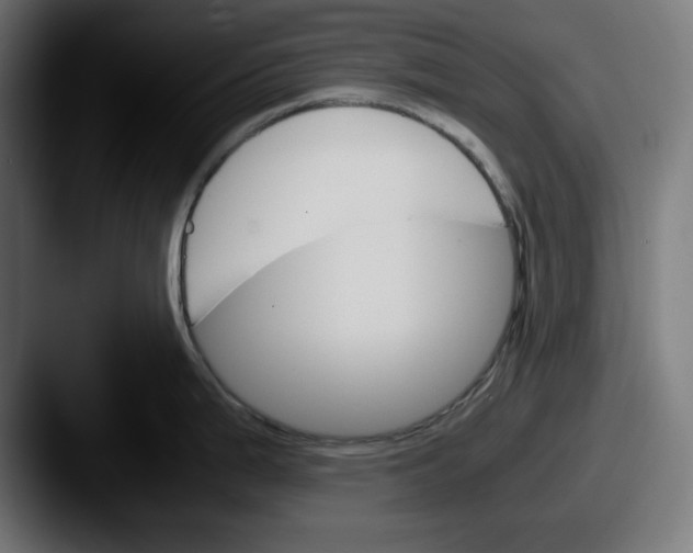 X0000087521199200705181007