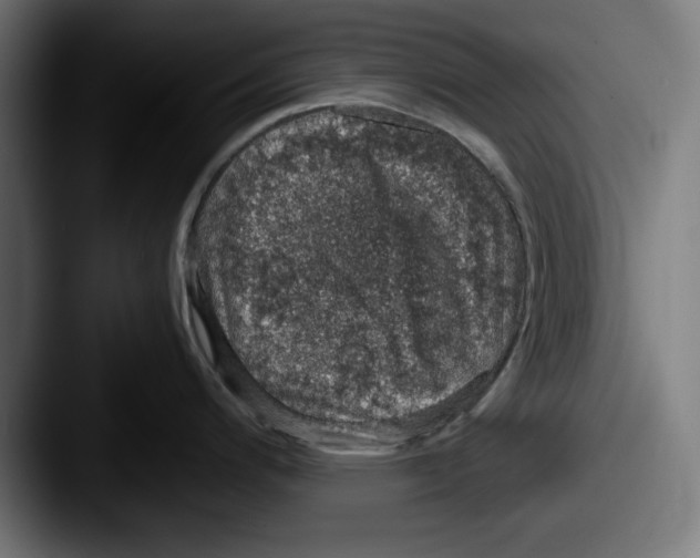 X0000087521200200705181007