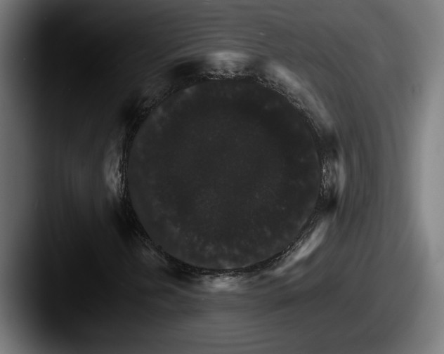 X0000087521202200705181006