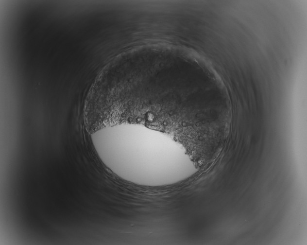 X0000087521203200705181006