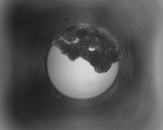 X0000087521204200705181006