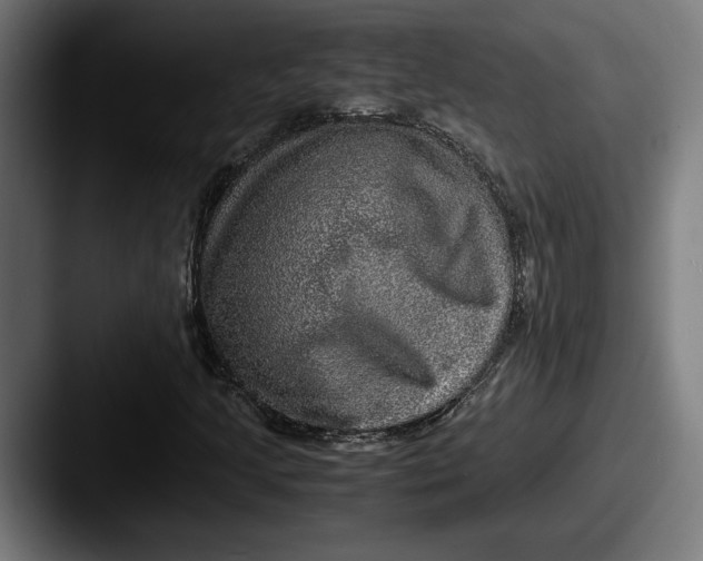 X0000087521205200705181006