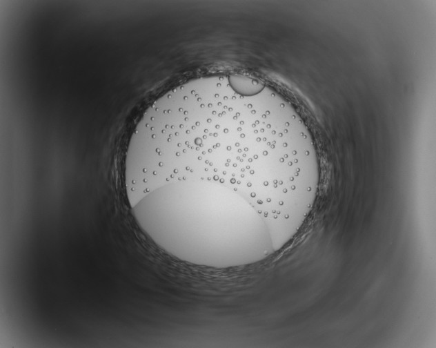 X0000087521207200705181006