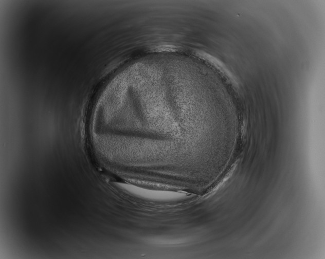 X0000087521209200705181006