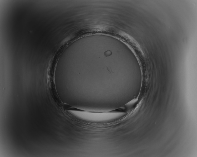 X0000087521210200705181006