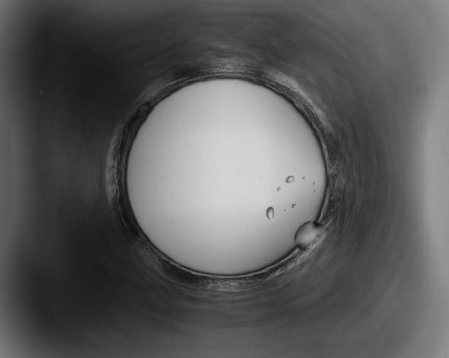 X0000087521211200705181006