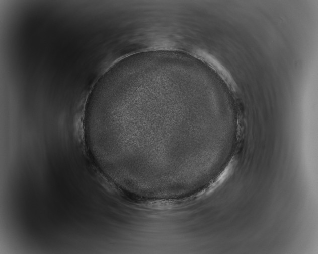 X0000087521212200705181006