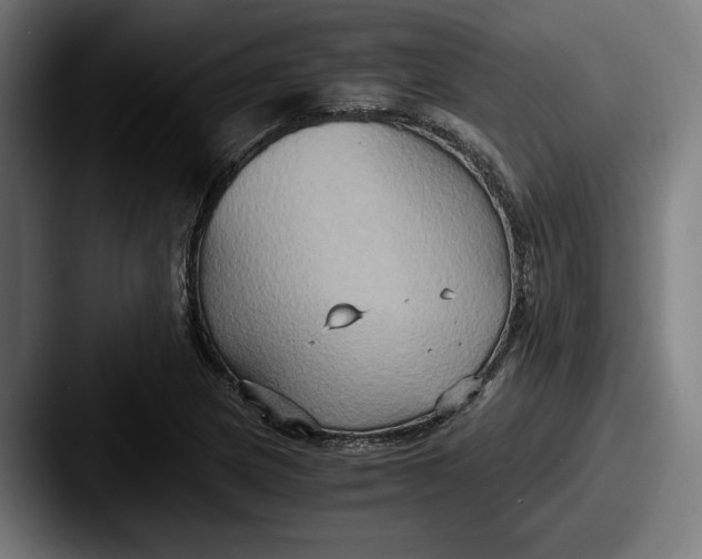 X0000087521217200705181006