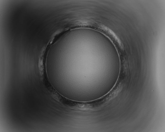 X0000087521218200705181006