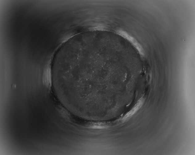 X0000087521219200705181006