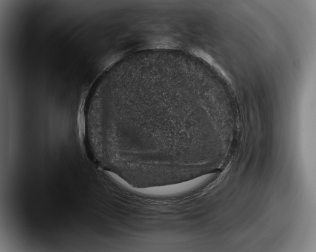 X0000087521221200705181006