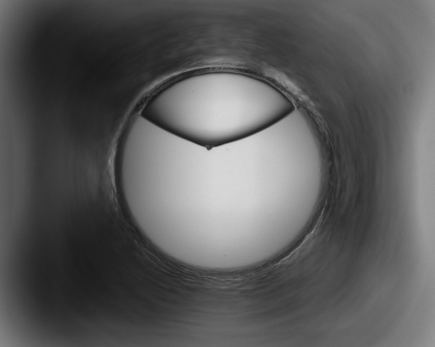 X0000087521222200705181006