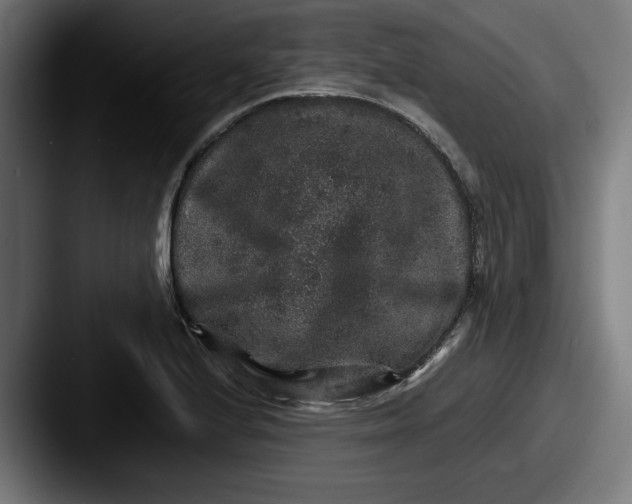 X0000087521224200705181006