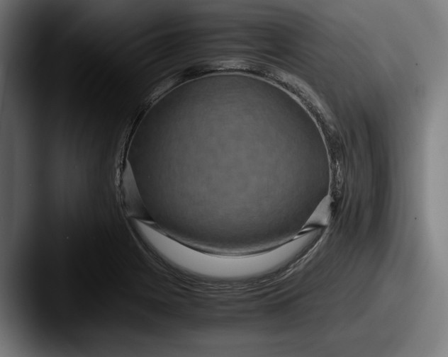 X0000087521225200705181006