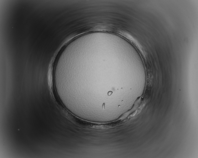 X0000087521227200705181006