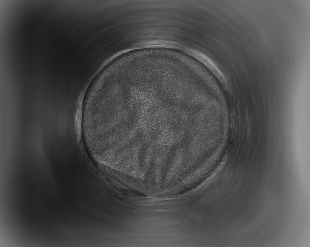 X0000087521228200705181006