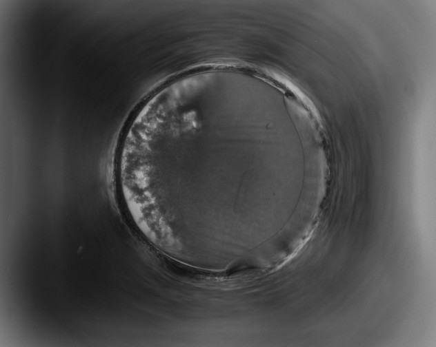 X0000087521229200705181006