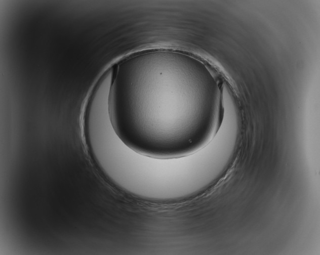 X0000087521230200705181006