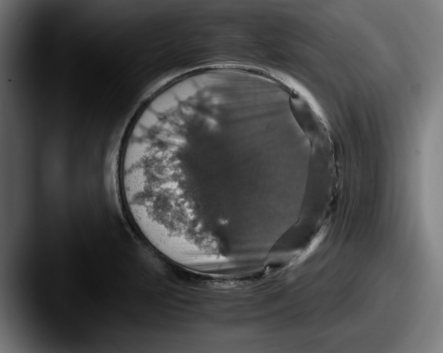 X0000087521231200705181006