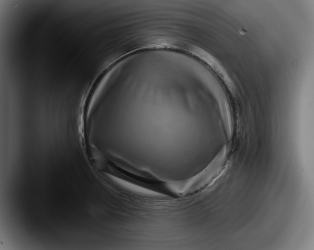 X0000087521234200705181006