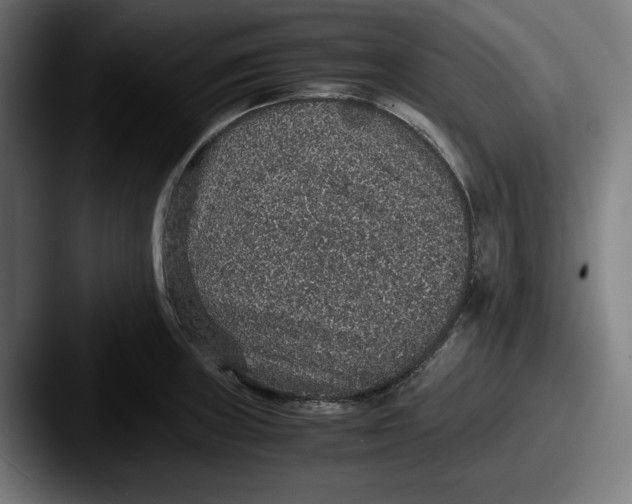 X0000087521235200705181006