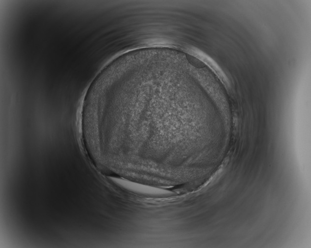 X0000087521236200705181007