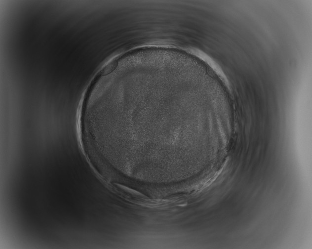 X0000087521237200705181007