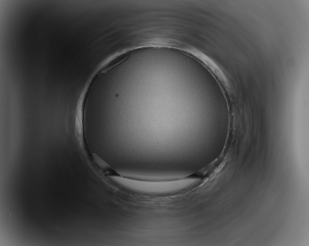 X0000087521238200705181007