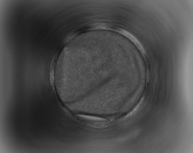 X0000087521241200705181007