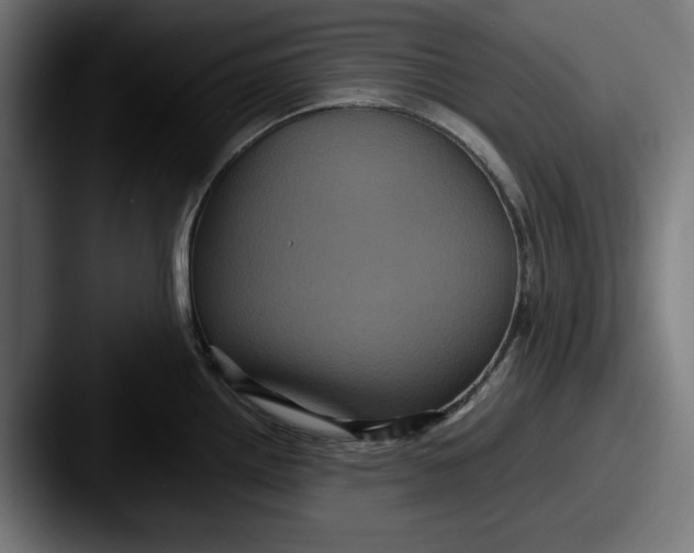 X0000087521242200705181007