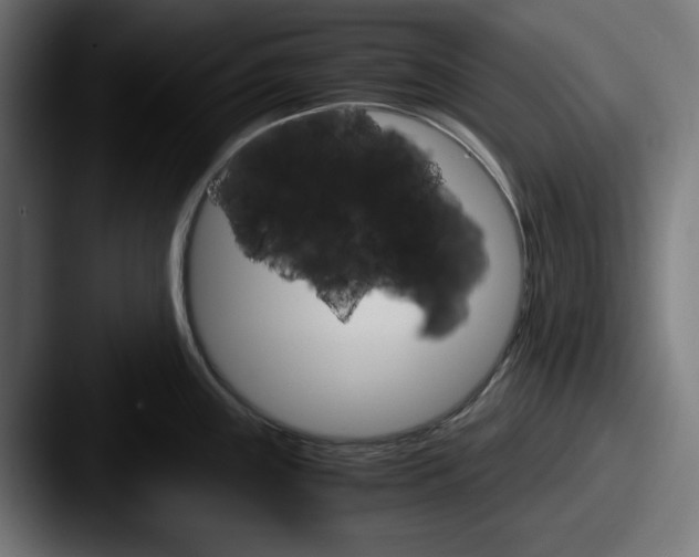 X0000087521243200705181007