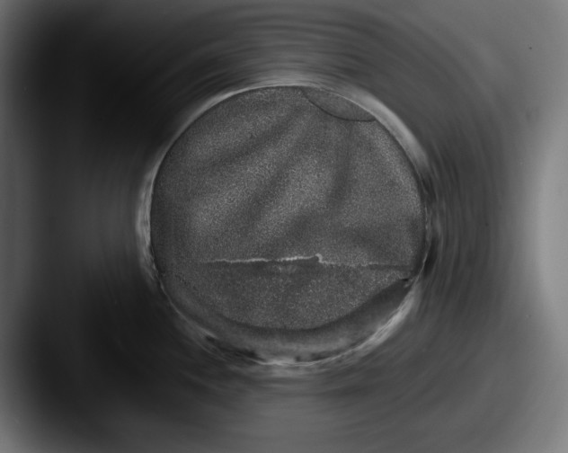 X0000087521244200705181007