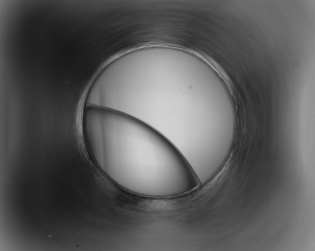 X0000087521246200705181007