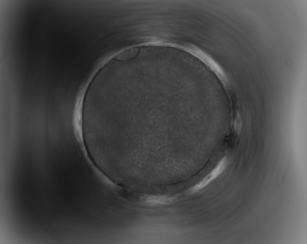 X0000087521247200705181007