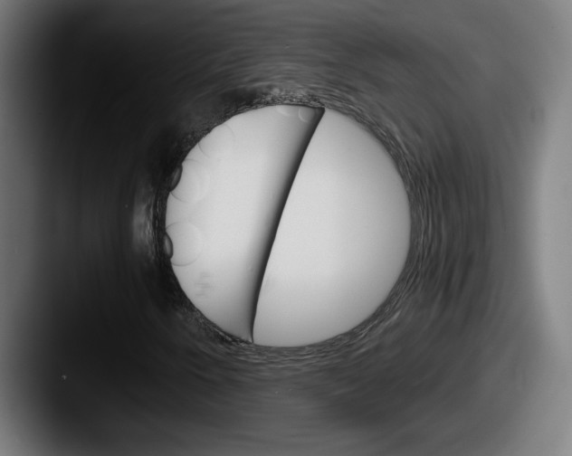 X0000087521250200705181006