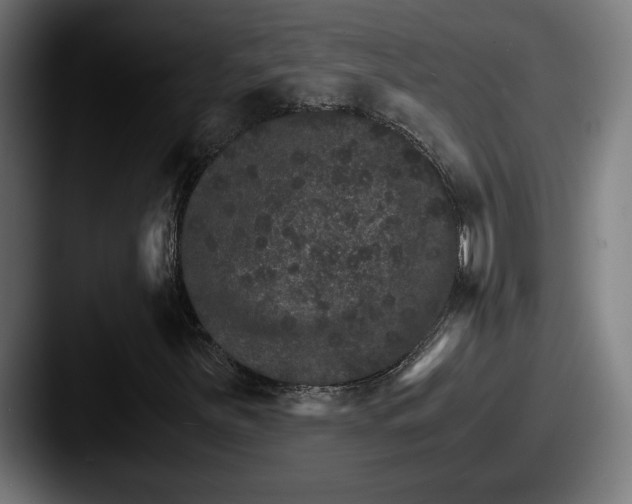 X0000087521251200705181006