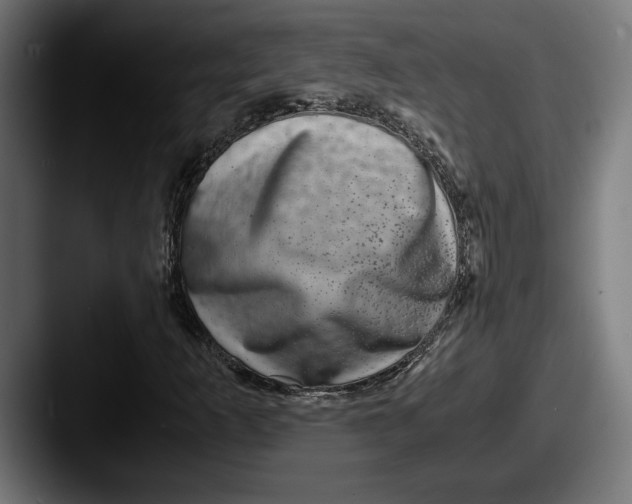 X0000087521253200705181006