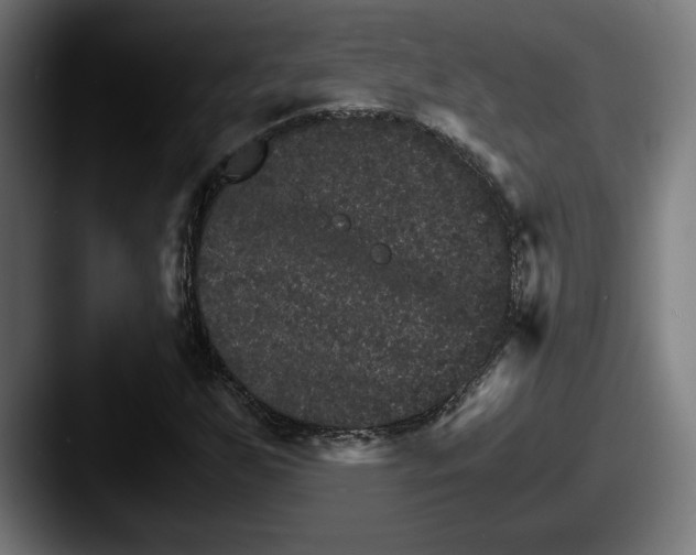 X0000087521255200705181006