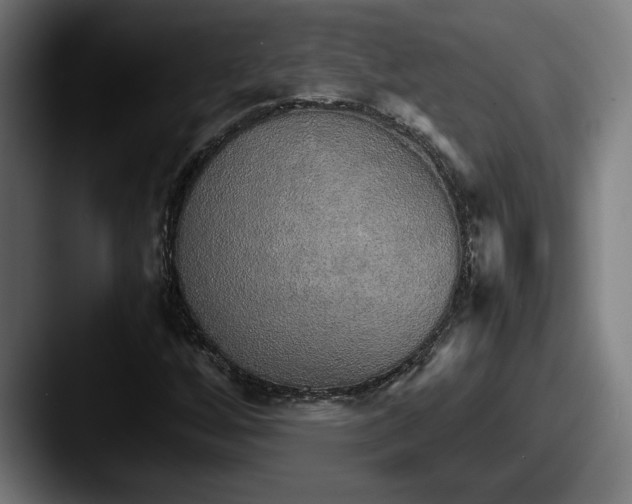 X0000087521256200705181006