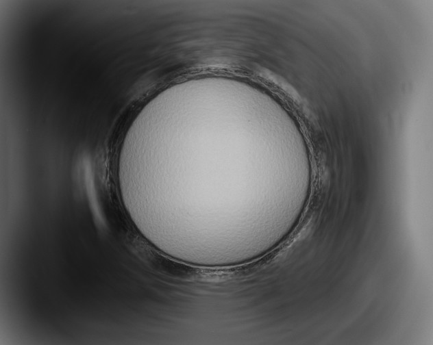 X0000087521258200705181006