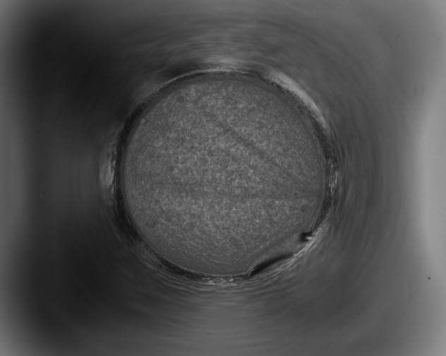 X0000087521259200705181006