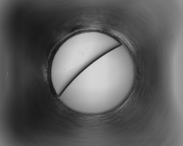 X0000087521260200705181006