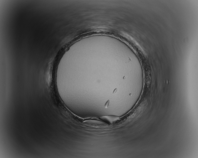 X0000087521261200705181006