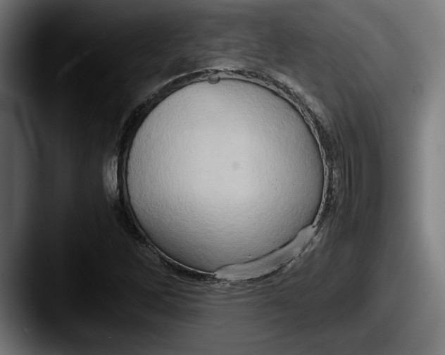 X0000087521262200705181006