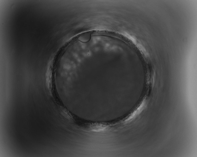 X0000087521263200705181006