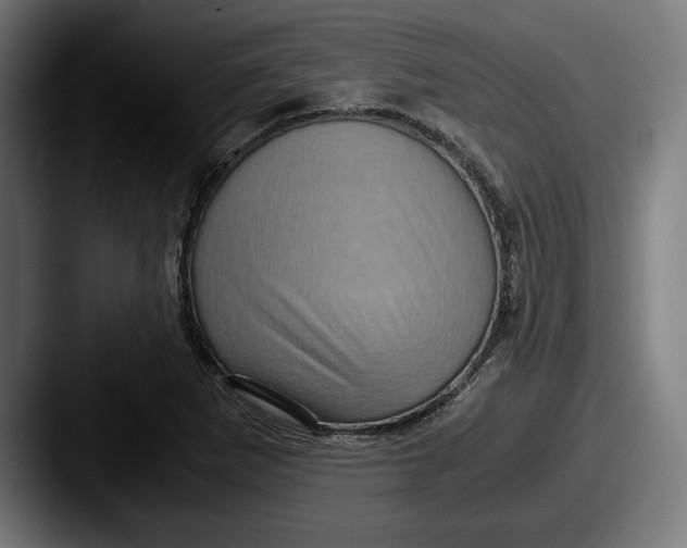 X0000087521265200705181006