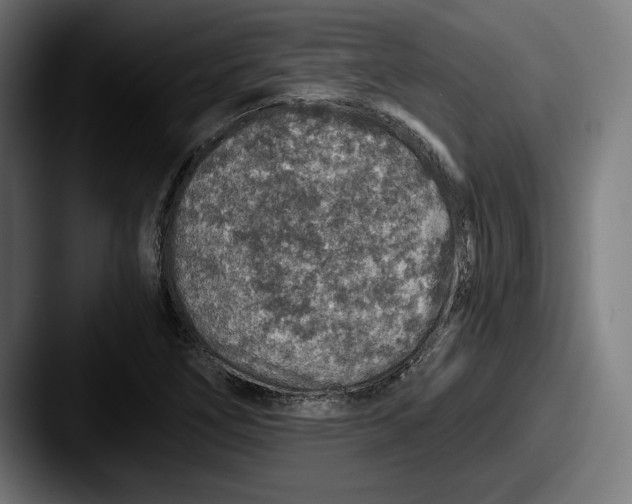 X0000087521266200705181006