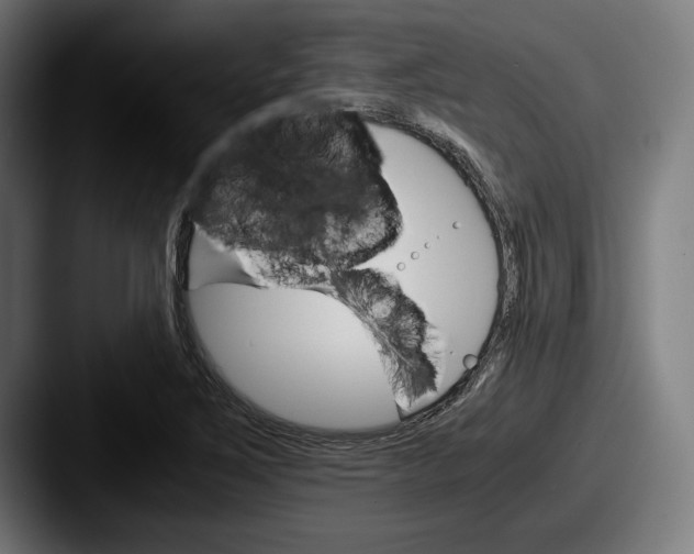 X0000087521267200705181006