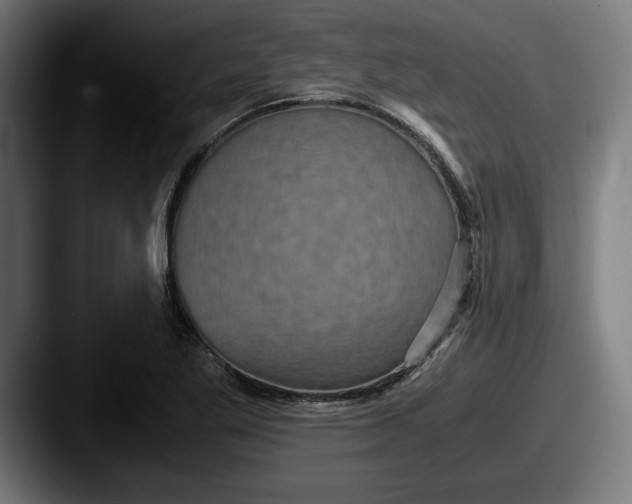 X0000087521269200705181006